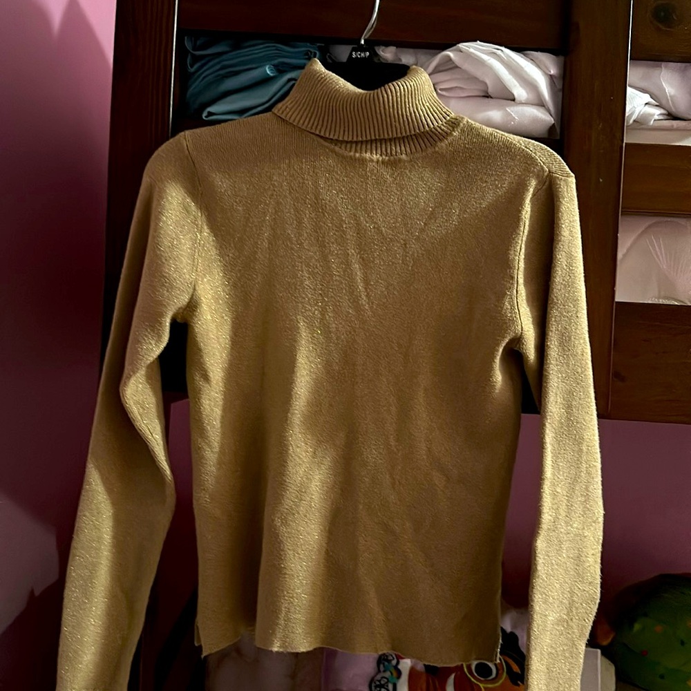 Zara Turtle Neck Long Sleeve Top
